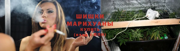 шишки Аркадак