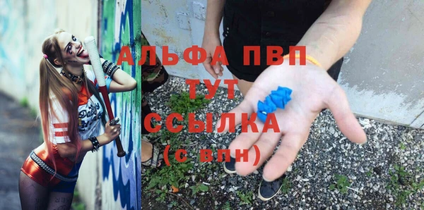 эйфоретик Арсеньев