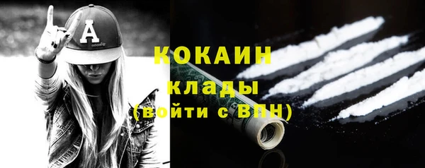 эйфоретик Арсеньев