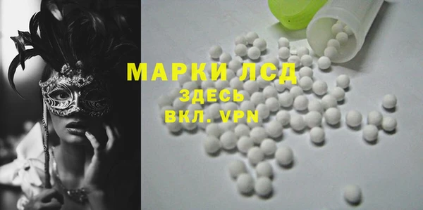шишки Аркадак