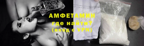 шишки Аркадак