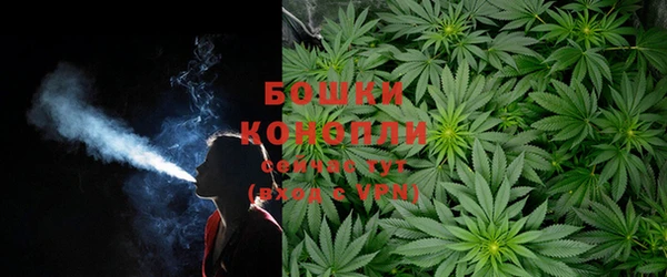 эйфоретик Арсеньев