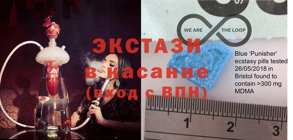 шишки Аркадак