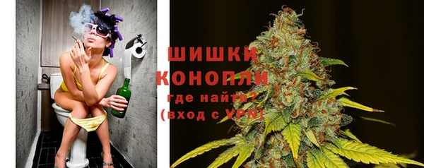 шишки Аркадак